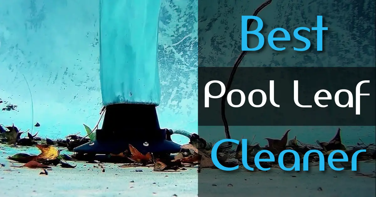 Best Pool Vacuum for Leaves