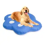 Best Pool Floats for Dogs