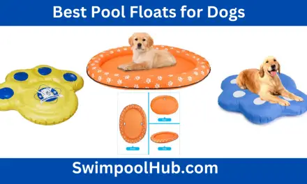 Top 5 Best Pool Floats for Dogs | Best Dog Pool Float