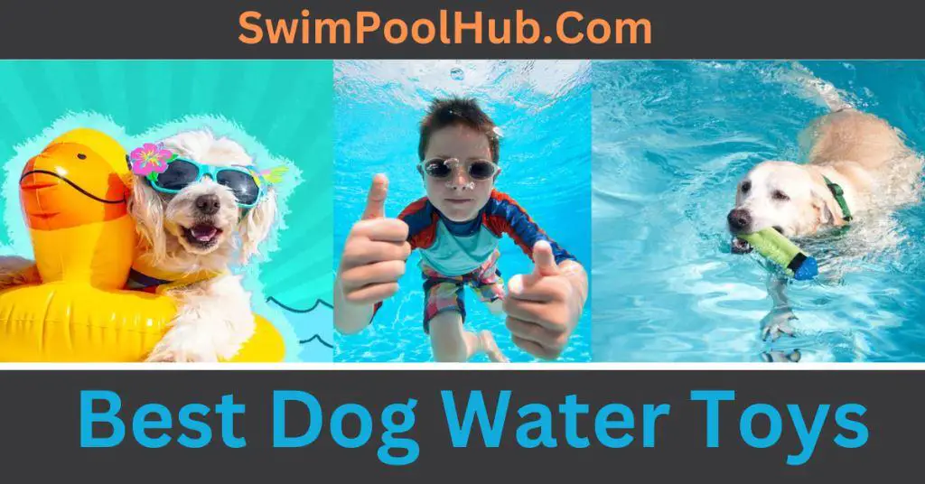 Best Dog Water Toys for the Pool or Beach