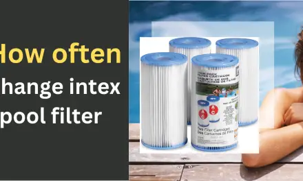 How often to change intex pool filter?