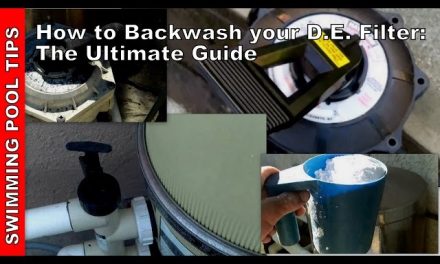 How to Backflush Pool Filter? Your Ultimate Guide