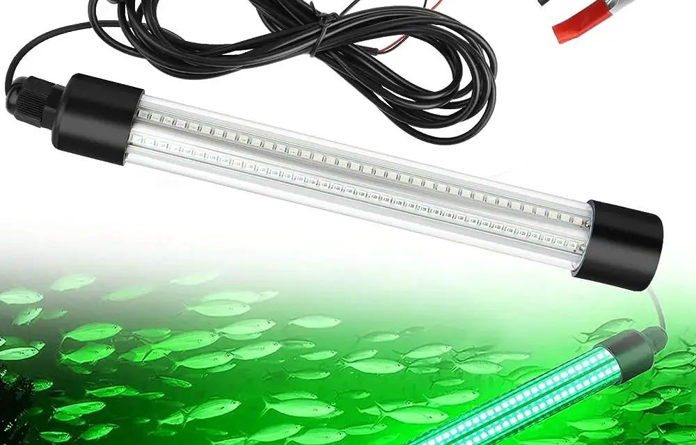 What Color Underwater Light Attracts Fish? Discover the Power of Green Light!