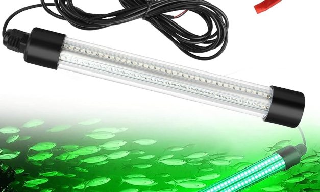 What Color Underwater Light Attracts Fish? Discover the Power of Green Light!