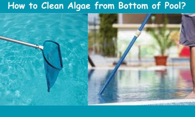 How to Clean Algae from Bottom of Pool Without Vacuum: Easy Steps