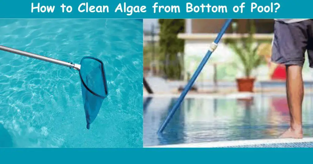 How to Clean Algae from Bottom of Pool Without Vacuum: Easy Steps