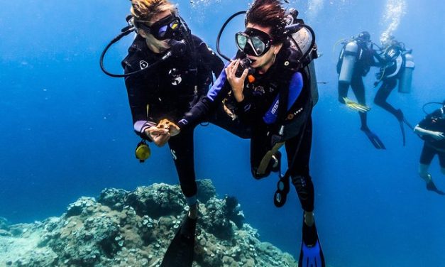 Best Places to Scuba Dive for Beginners