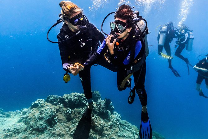 Best Places to Scuba Dive for Beginners
