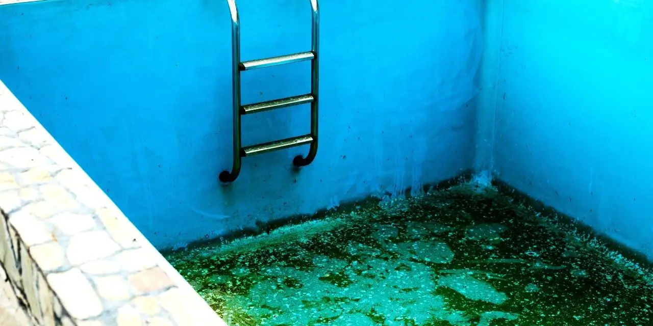 How to Clean an Empty above Ground Pool With Algae?