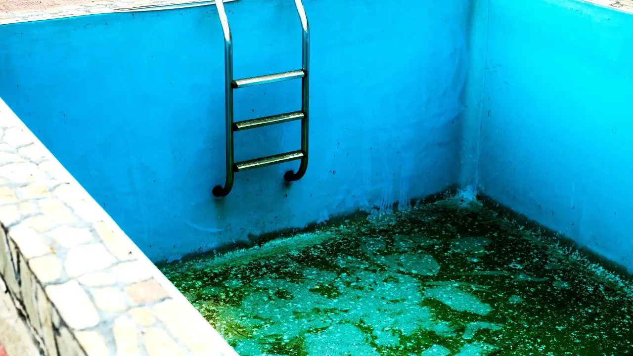 how-to-clean-an-empty-above-ground-pool-with-algae-swimpoolhub