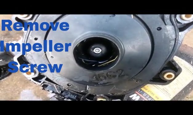 How to Remove Pool Pump Impeller?