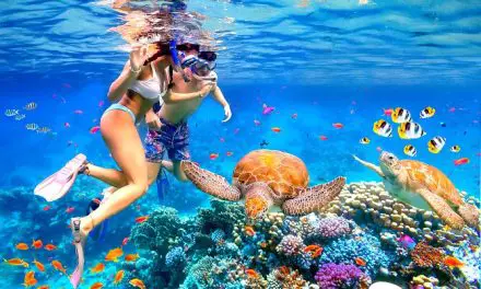 Where to Snorkel in Waikiki? : Discover the Best Snorkeling Spots