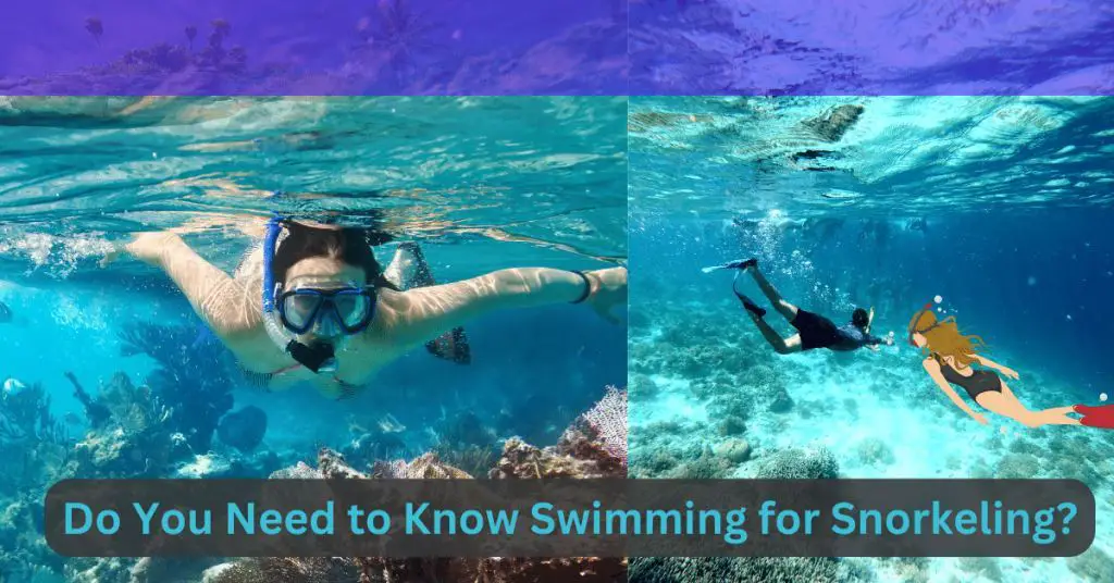Do You Need to Know Swimming for Snorkeling?