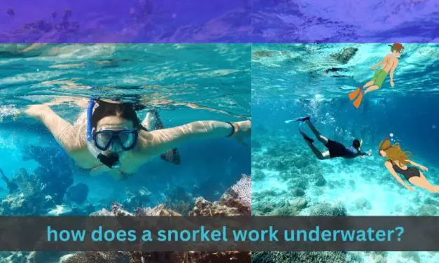 How Does a Snorkel Work Underwater: Secrets of Underwater