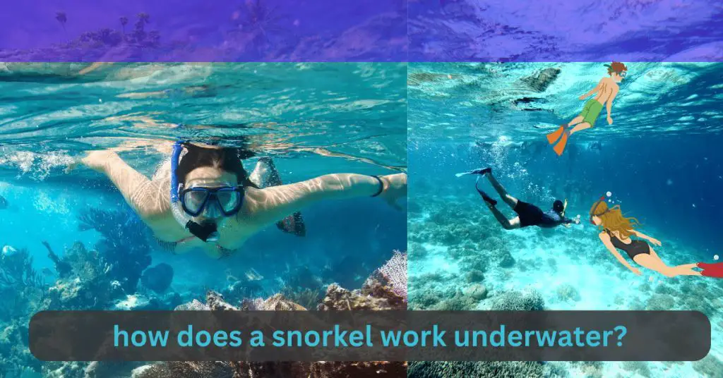 How Does a Snorkel Work Underwater: Secrets of Underwater