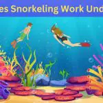 How Does Snorkeling Work Underwater: Dive into the Depths