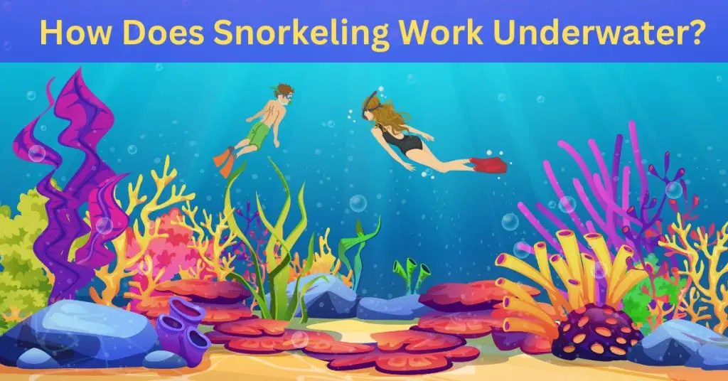 How Does Snorkeling Work Underwater: Dive into the Depths