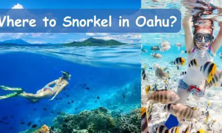 Where to Snorkel in Oahu: Discover the Best Spots
