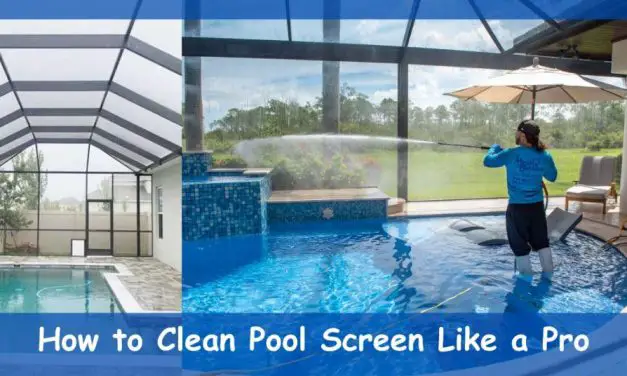 How to Clean Pool Screen Like a Pro: Ultimate Cleaning Tips