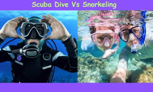 Scuba Dive Vs Snorkeling: Uncover the Thrilling Depths