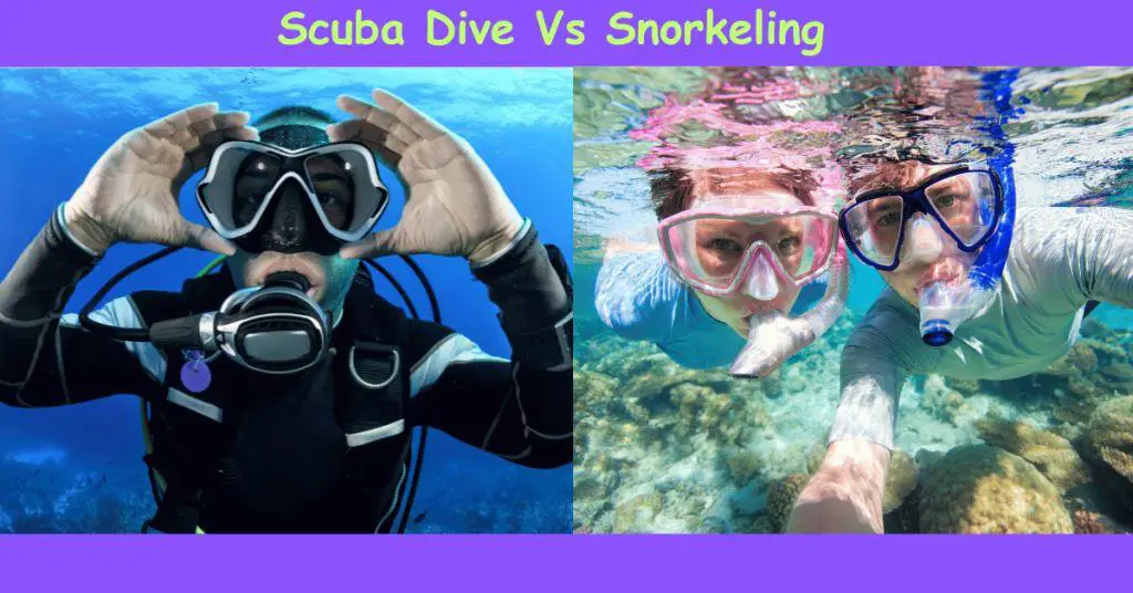 Scuba Dive Vs Snorkeling: Uncover the Thrilling Depths